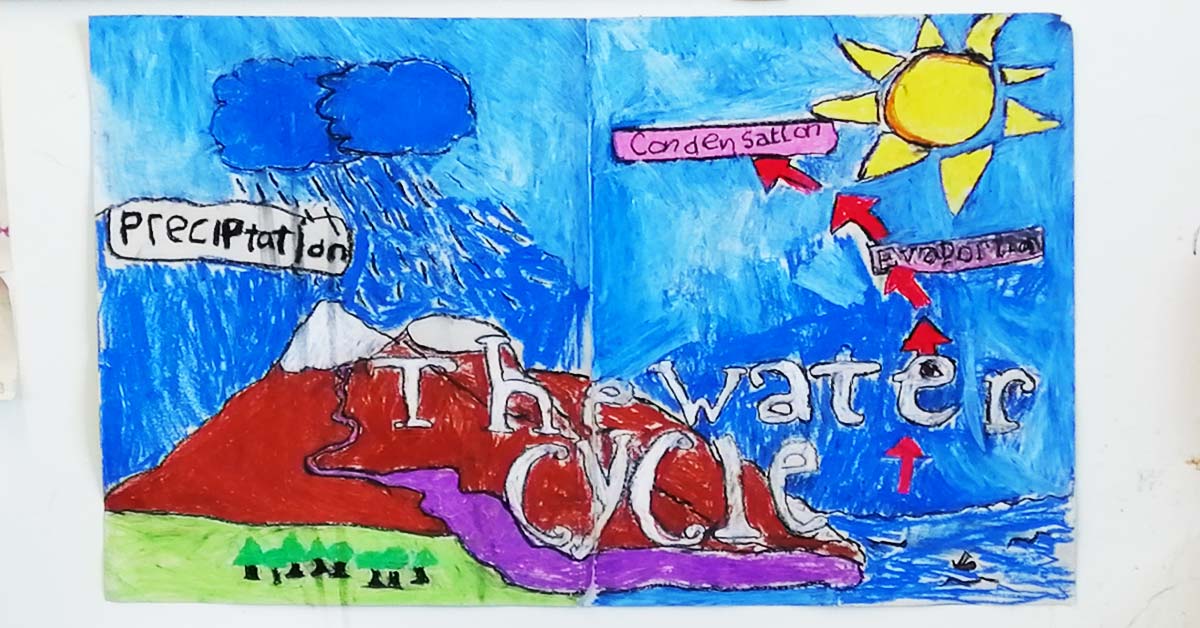 the-water-cycle